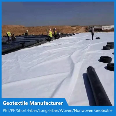 Polipropileno PP filtración Geo Textil poliéster Pet tejido no tejido Geotextil tejido tejido Precio para Roof Garden GSM