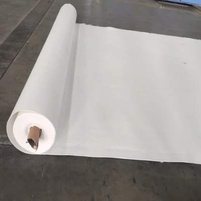 Proveedor chino de filamento continuo Nonwoven Geotextile
