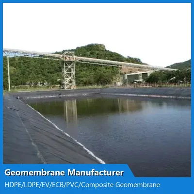 China HDPE Geomembrana Fabricante de Jardinería/Lagos artificiales/Ríos/embalses/impermeable y verde a prueba de humedad Lawnst