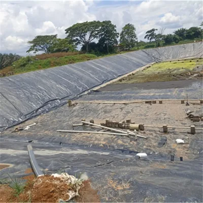 0,3mm/0,8mm/1,2mm/1,5mm/2mm Vannamei Cata de gambas Granja HDPE Geomembrane Dam Liner in Chile/Perú/Dominica/Nicaragua/Camboya