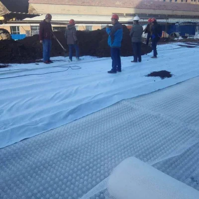 Filamento continuo de fibra larga tejidos geotextiles No Tejidos para la venta