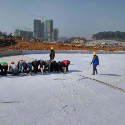 China Proveedor Alto Límite Elástico tejida PP Geotextile Estabilizador de suelos