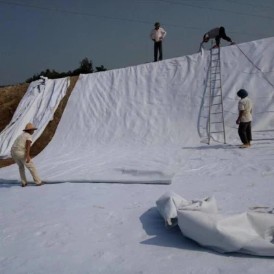 Harga Geotextile Woven para la venta