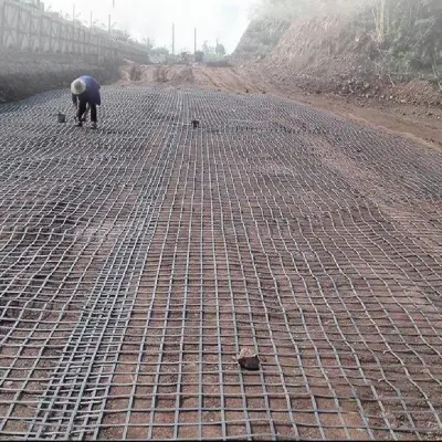 Geogrids plásticos de acero para la construcción y protección de pendientes nuevos materiales