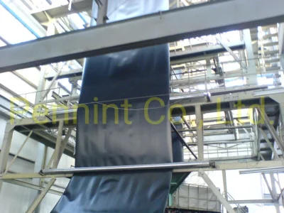 precio de fábrica resistente al agua buen criadero de peces de estanque de HDPE Camisas Aquculture Geomembrana