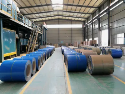 El color de las bobinas de acero galvanizado recubierto de Prepainted 750-1250 mm Pre-Painted proveedores el acero (PPGI / PPGL) Brand Vietnam