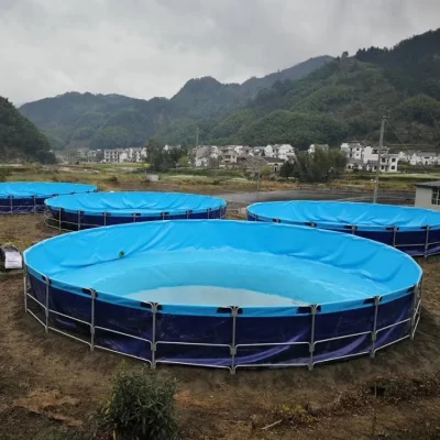 China PEAD/LDPE/PVC/EV/PE/ECB/Geomembrana compuesta Fabricante de Acuicultura/pescado/Camarones/Pond/Dam/vertedero/Minería/SAL/Tavillador/Reserva