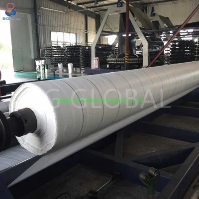 El GRS SGS China Sg fábrica mundial de comercio al por mayor durabilidad máxima 8m Negro Blanco tejida PP Geotextile Control de malezas Mat piso cubierto de tela del paisaje de la barrera de malezas