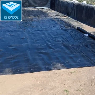 La construcción de carreteras de HDPE estándar ASTM Geomembrana compuesto