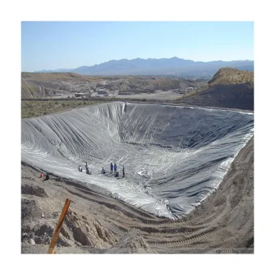 Suministro de fábrica HDPE Geomembrana para Fish Farm Pond Liner Global Hot Sale