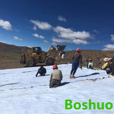 El poliéster/PP fibra corta aguja puñetazos Nonwoven Fabric &amp; Geotextile Geomembrana de geomalla Geonet, buen precio 150g 200g 300g 150 200 300 400 600 gramos
