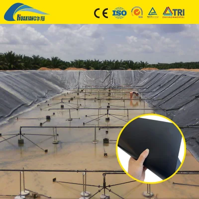 Anti filtración ASTM 100% virgen HDPE superficie texturizada Geomembrana China Fabricante