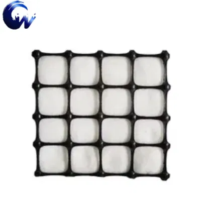Top Professional y un excelente proveedor de geomalla Geotextile compuesto con productos de alta calidad