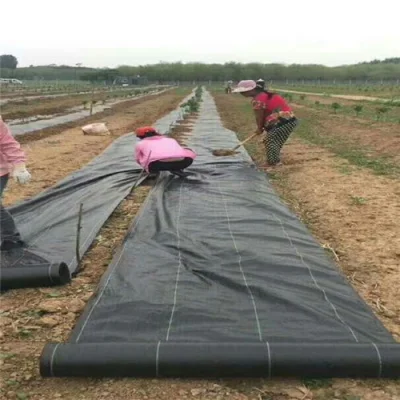 Paño de terreno PP/hierba Mat/tejido de la barrera de la maleza