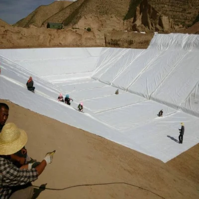 Filamento continuo de fibra larga tejidos geotextiles No Tejidos para la venta
