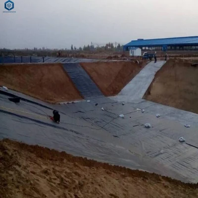 Certificación SGS CE HDPE Pond Liner Sheet Geomembrana para River Terraplén en Francia
