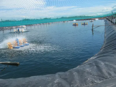 Geomembrana HDPE Camisa del estanque de peces de agua de riego para la Agricultura Dam precio de fábrica