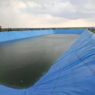 Geomembrana HDPE Camisa del estanque de peces de agua de riego para la Agricultura Dam precio de fábrica