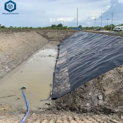 Harga Geomembrane Liner HDPE para el proyecto de tratamiento de agua en el Sudeste Asia