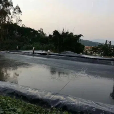 Precio HDPE Geomembrana para la presa Fish Farm Pool Liner