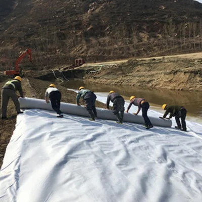 Top Vender tejido Geotextil no tejido de hilo corto personalizado Tela para la construcción de la conservación del agua