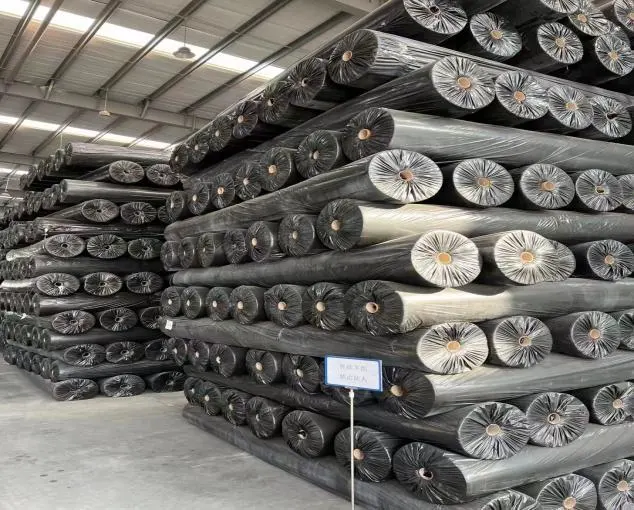 Geocell/Membrane/Geogrid Filament Textile Geotextile 10kn for Stabilization Fabric