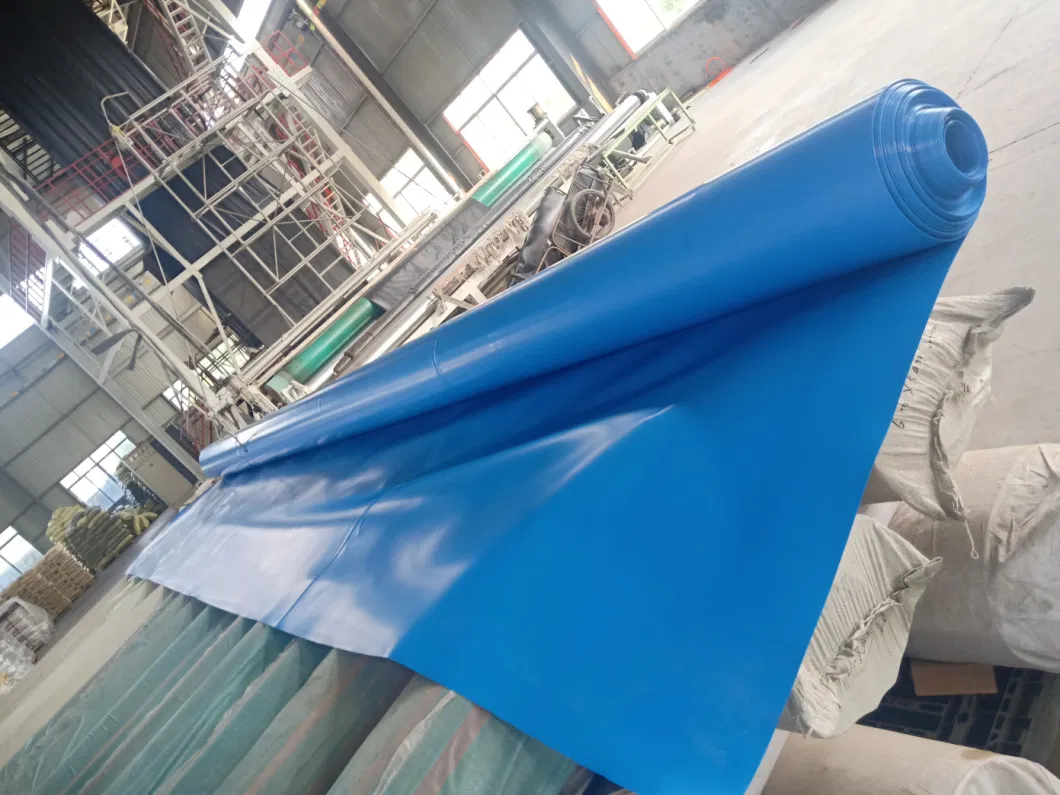 Blue Film HDPE Geomembrane for Dam/Landfill/Lake/Biogas/Mining/Fish/Shrimp Farm Pond Liner Manufacturer Price