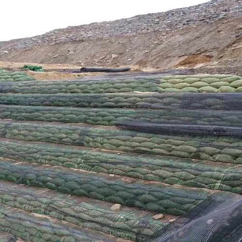 Mining Geogrid Net White Plastic Uniaxial Biaxial Geogrid Mining Geogrids Manufacturer Price