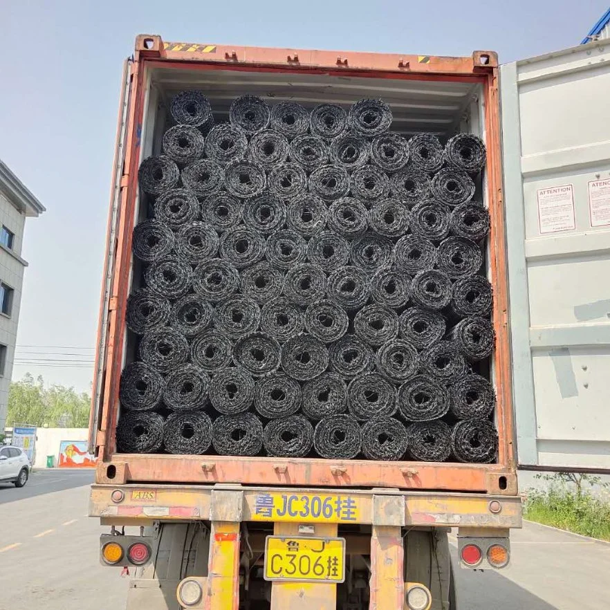 PP Biaxial Plastic Geogrid 40kn for Pavement Base Reinforceme