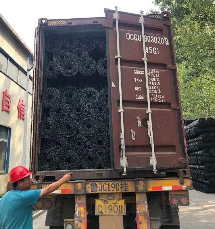 50kn Tensile Strength PP Biaxial Geogrid for Highway Construction