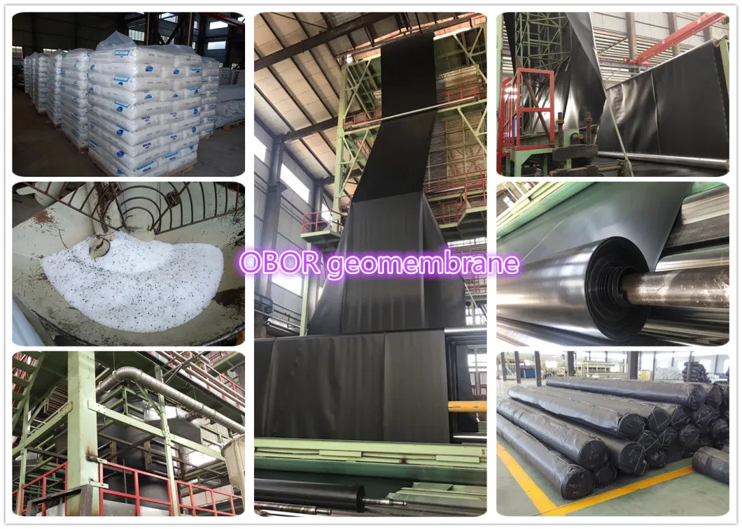 Factory Price 0.5mm HDPE Geomembrane Shrimp Fish Pond Liner