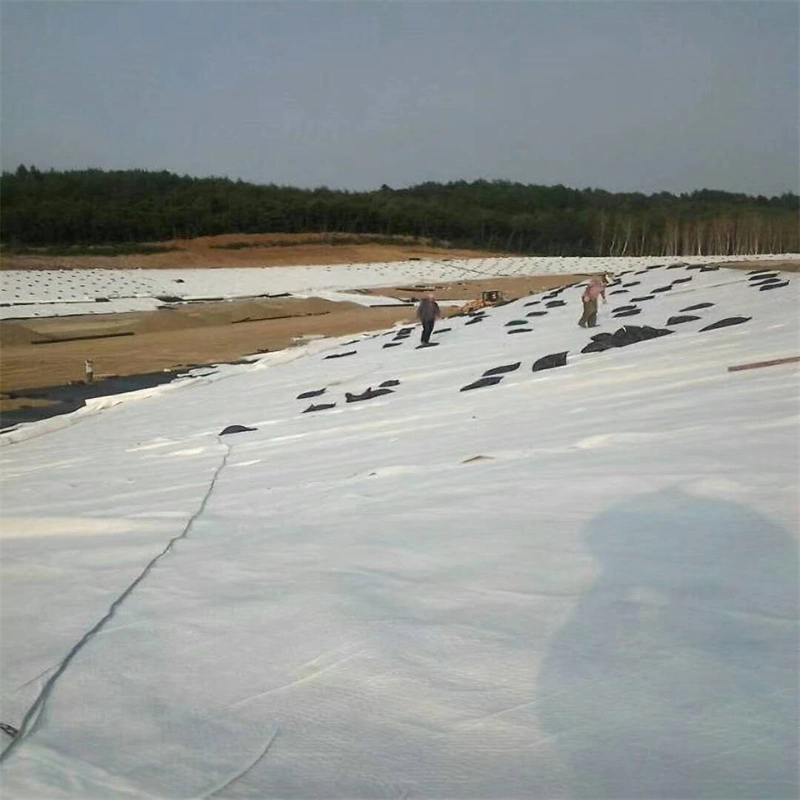 Two Textile One Membrane PE Composite Geomembrane Used in Anti-Seepage