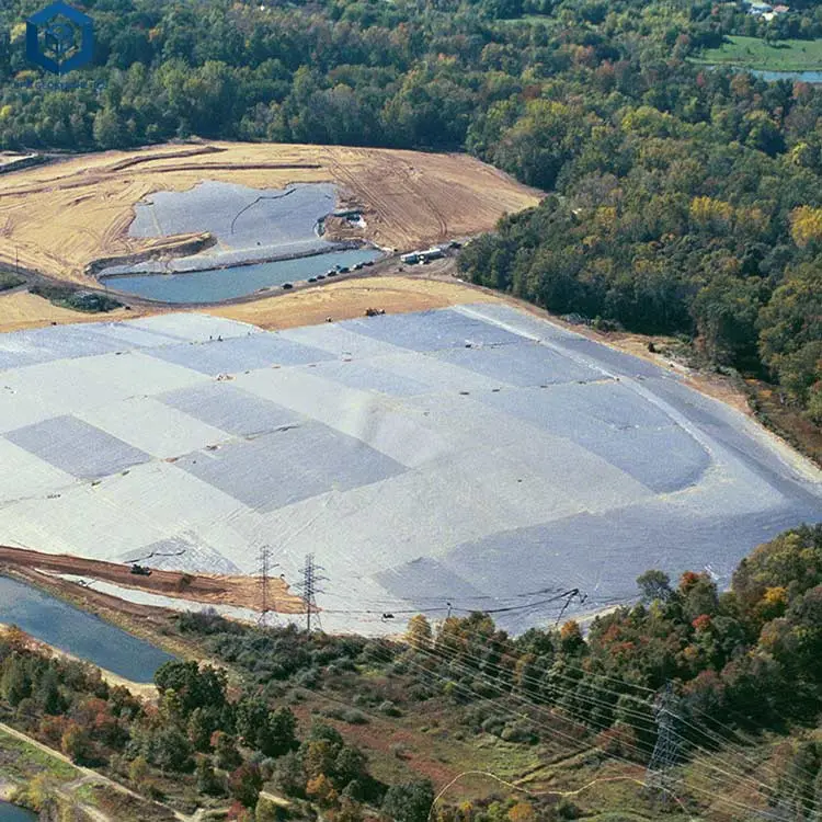 SGS CE Certification HDPE Pond Liner Sheet Geomembrane for River Embankment in France