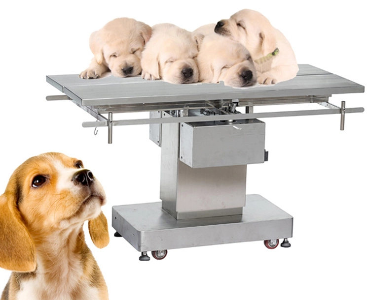 Factory Supply Luxury Electric Medical Table Veterinary Animal Operating Table