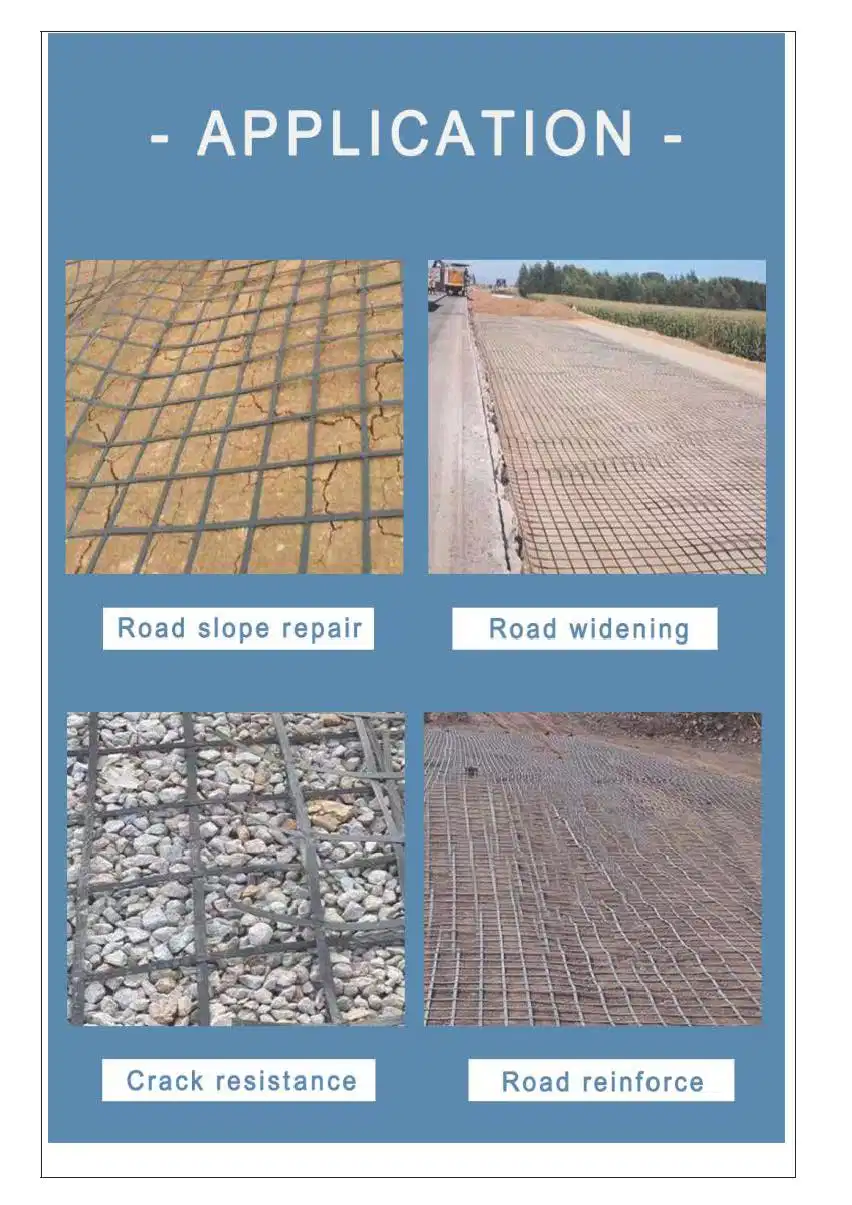 Chinese Geogrid Supplier Best Quality Slope Protect Steel Plastic Composite Welding Geogrid