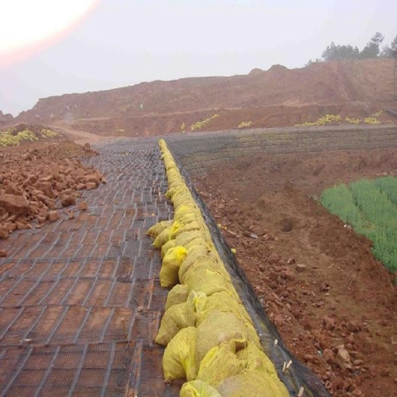 Building Material Plastic PP/HDPE Uniaxial Geogrid for Reinforcement Road Project