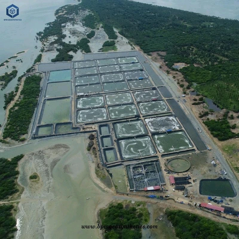 High Density Polyethylene Liner Geomembrane for Shrimp Farming Pond in Belgium