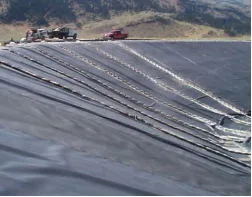 Price HDPE Geomembrane for Dam Fish Farm Pool Pond Liner