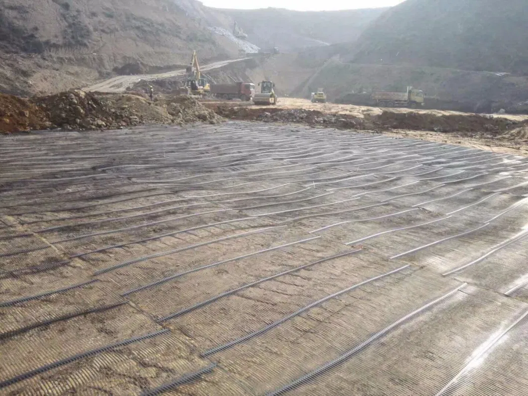 Uniaxial Plastic Geogrid for Road Mining Poultry Farming