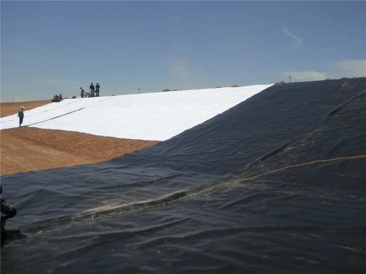 Black HDPE Polyethylene Geomembrane for Oil Crude Store