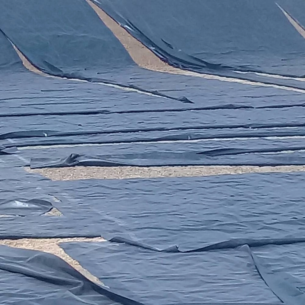 Fish Pond Liner HDPE Geomembrane for Agriculture Irrigation Water Dam Factory Price