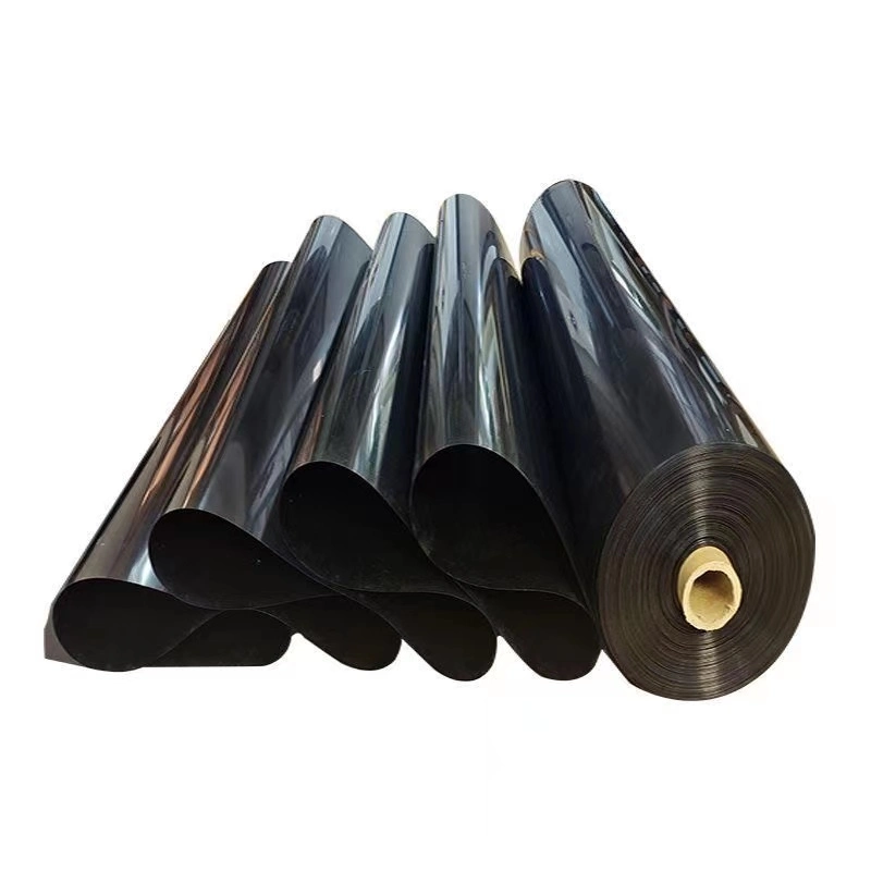 Manufacturer 1.0mm HDPE Geomembrane Price for Aquaculture