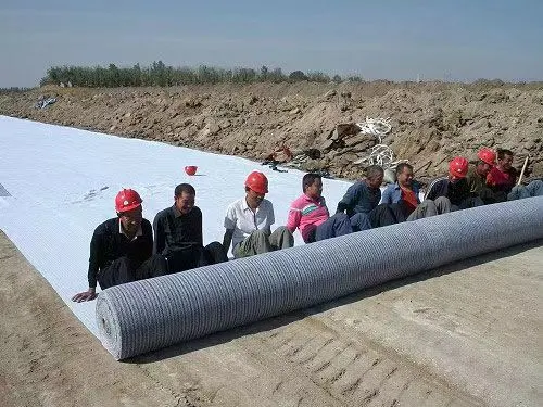 Water Conservancy Project Wholesale Price Bentonite Waterproof Blanket Geosynthetic Clay Liner