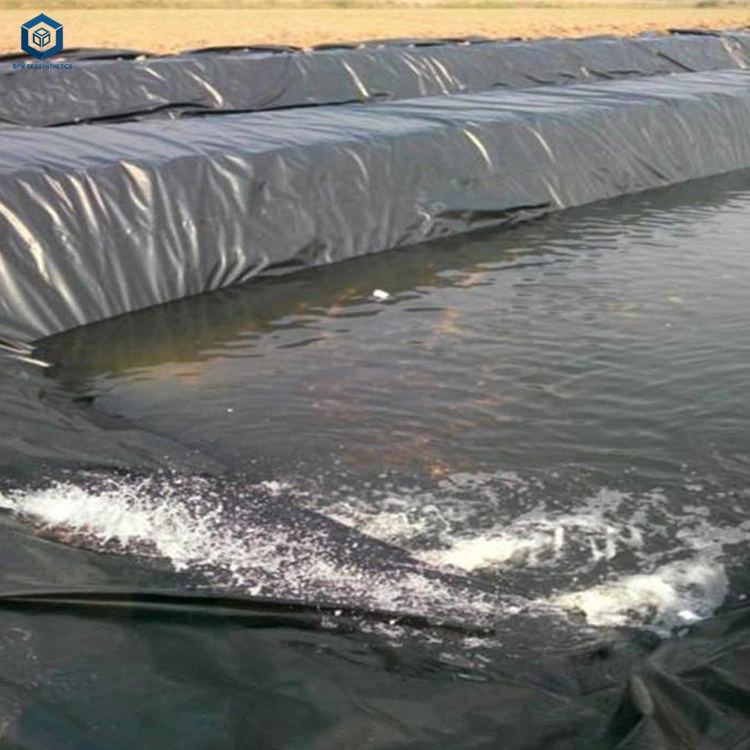 Waterproof HDPE Geomembrane Pond Liner for River Embankment Project in Singapore
