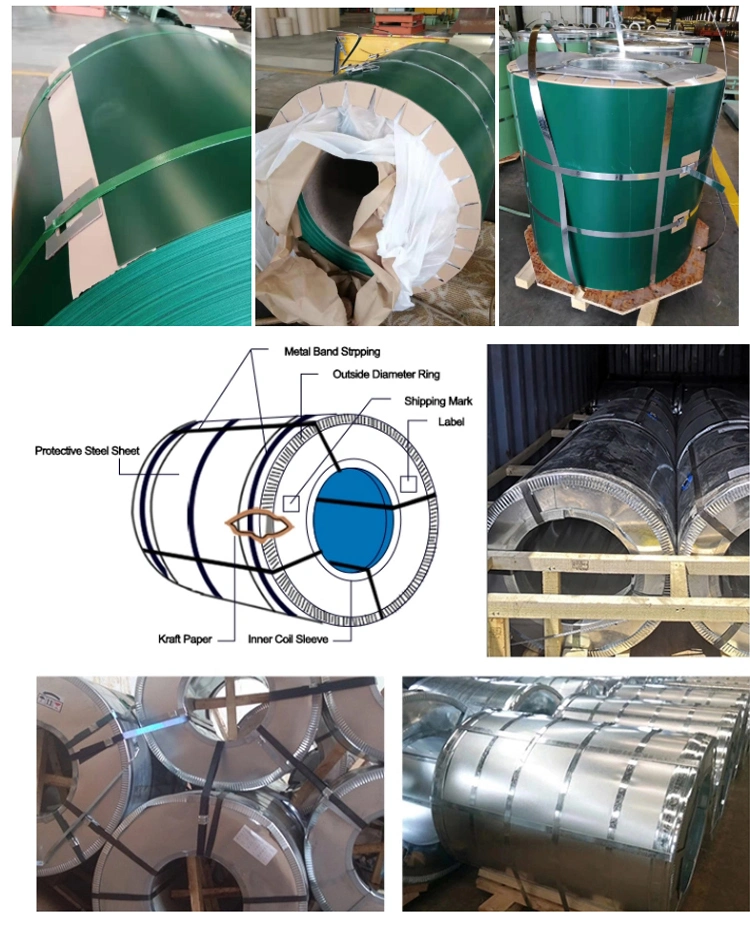 Golden Suppliers Factory Pre-Painted Galvanized Steel Coil/PPGI/Color Coated/Zinc Coated