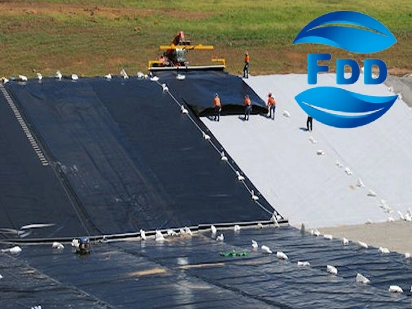 FDD Fish Farm Pond Liner HDPE Geomembrane 1mm 1.5mm 2mm 2.5mm Manufacturer