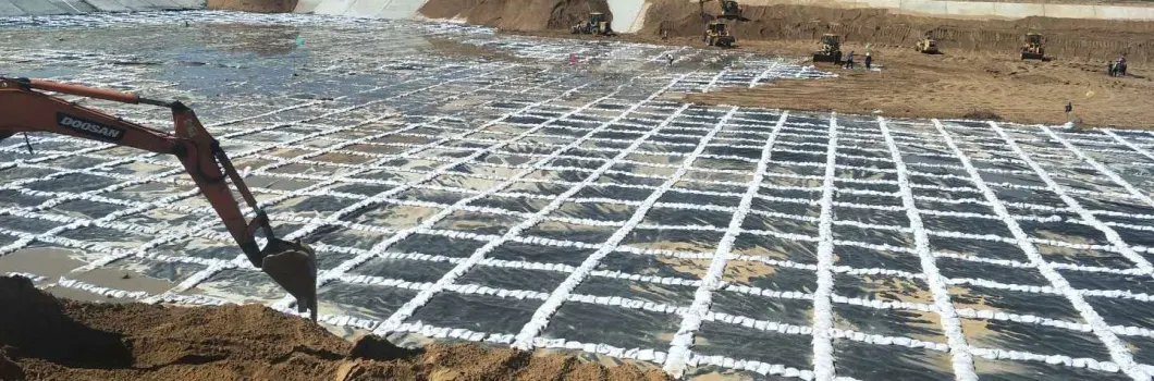 Fish Farm Pond Liner HDPE Geomembrane China Manufacturer 2mm HDPE Geomembrane