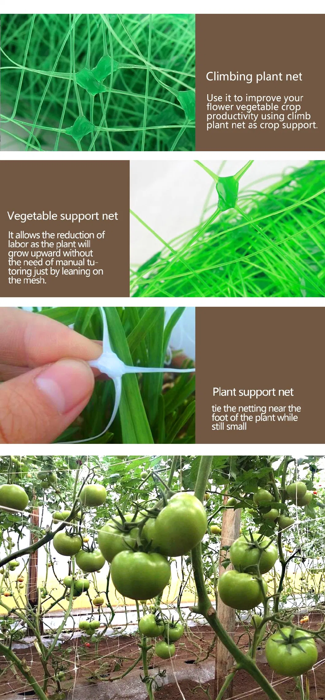 Durable New Coming HDPE Plant Climbing Plastic Wire Trellis Support Net