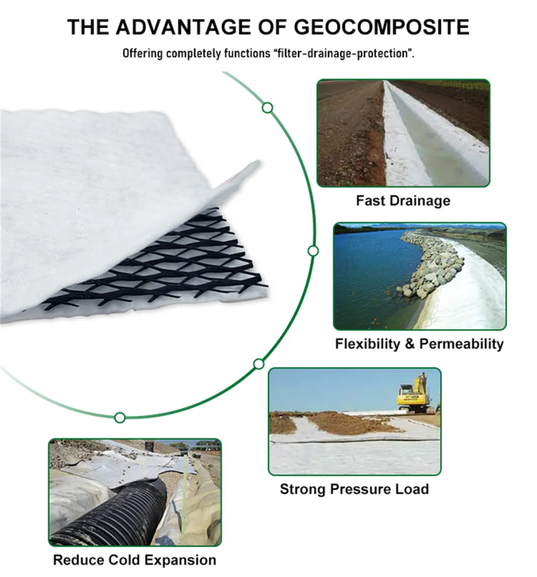 Reinforced Plastic Geocomposite Drainage Mat Geocomposite Geomembrane Geocomposite for Erosion Control Slope Protection