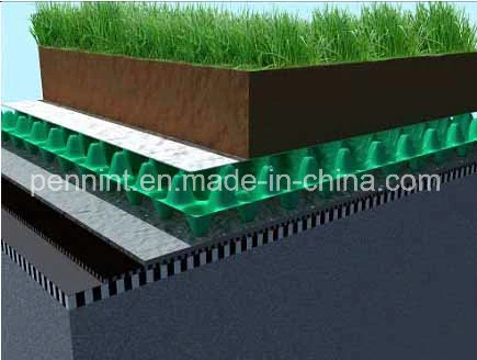 Best Selling Good Quality HDPE Dimple Drainage Board for Earthwork